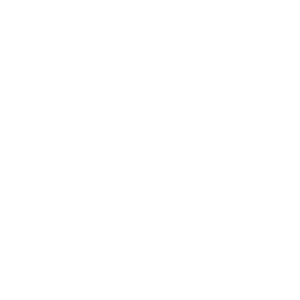 PIHF logo white